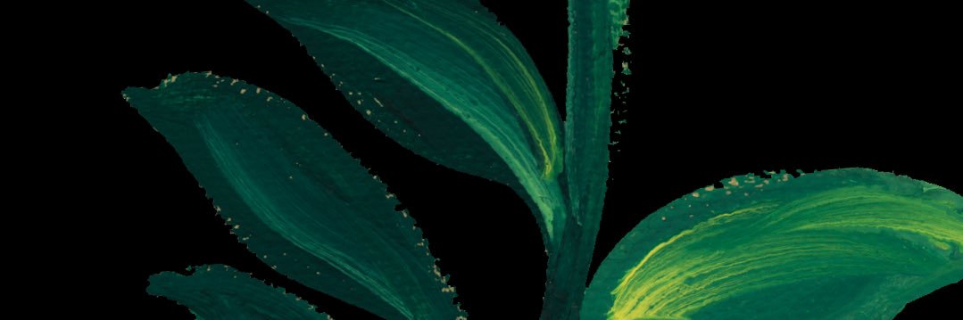 sairadeee's profile banner image