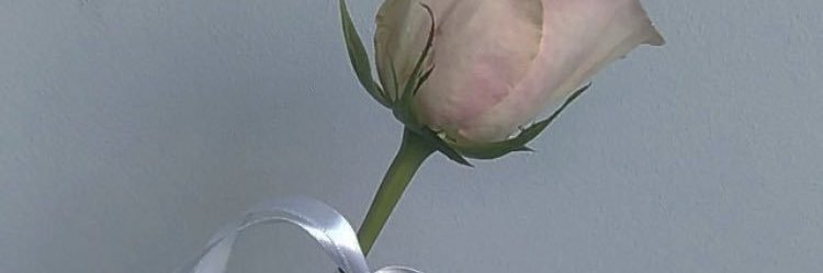 bb_risaaa's profile banner image