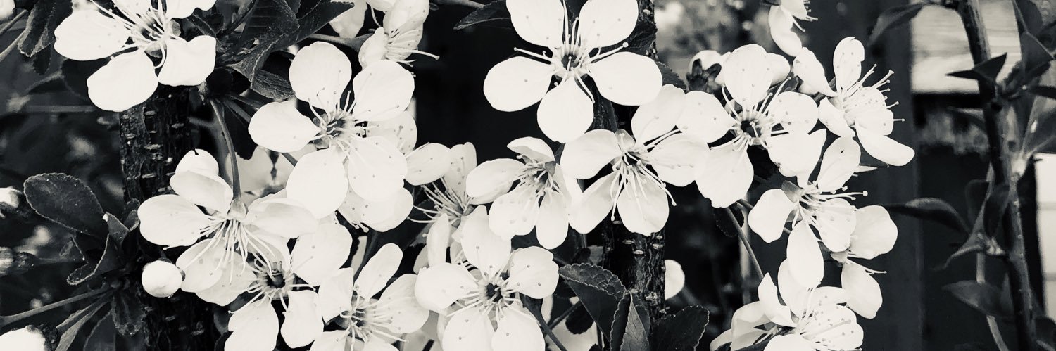 milay151's profile banner image