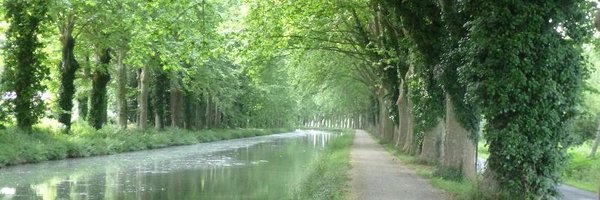 LizGoodwin Profile Banner