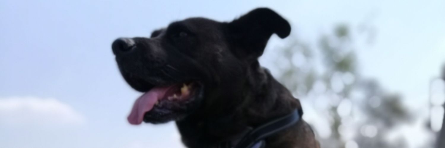 ginarb0404's profile banner image