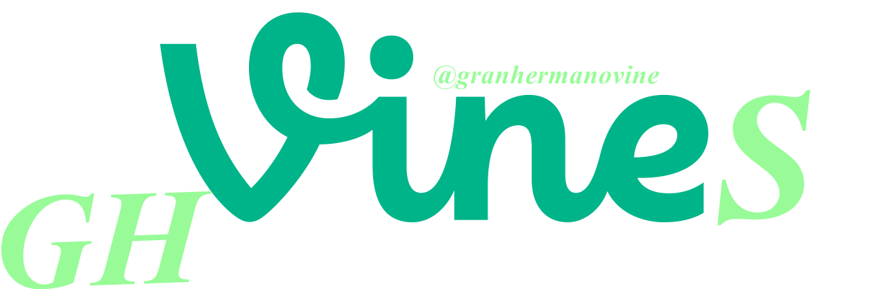 GranHermanoVine's profile banner image