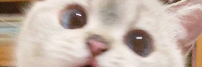 Jazy ^^'s banner