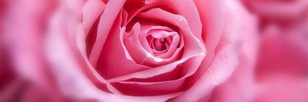 Edoarda 🎀 banner