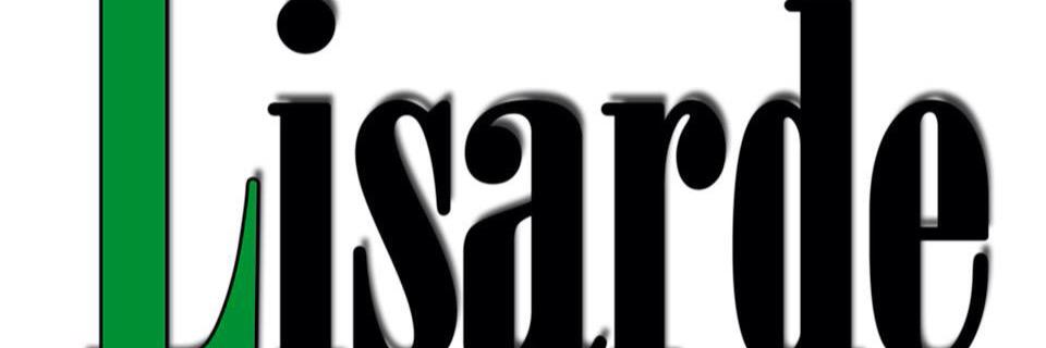 FallesLisarde's profile banner image