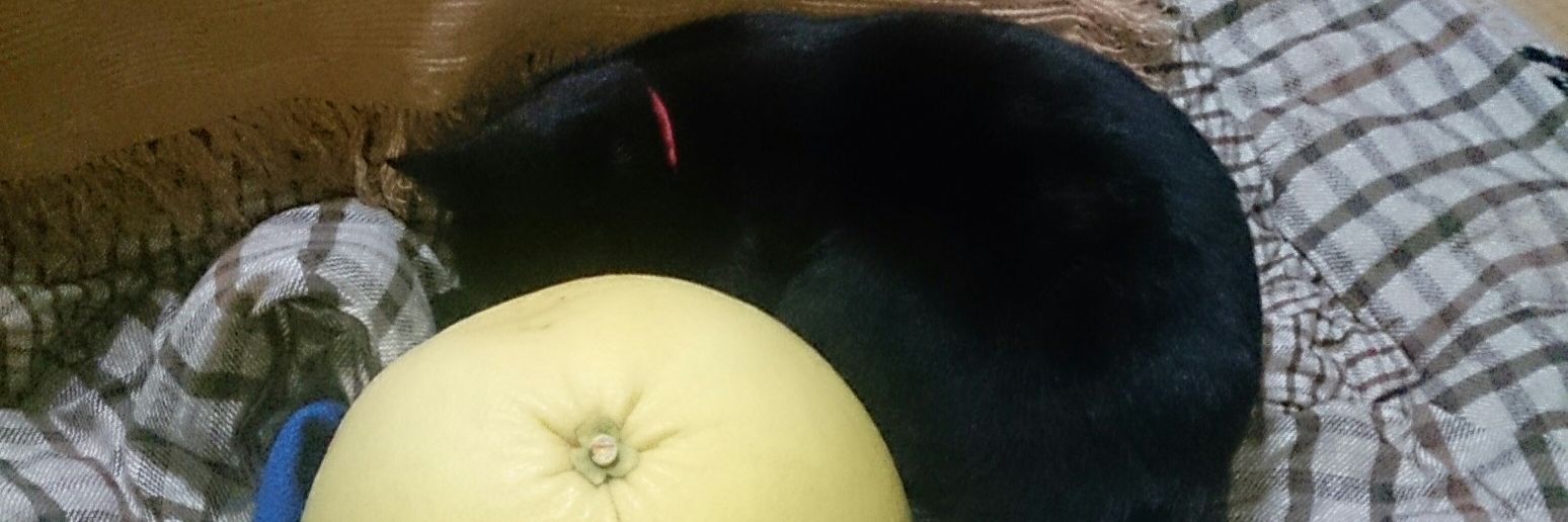 sanoofree's profile banner image