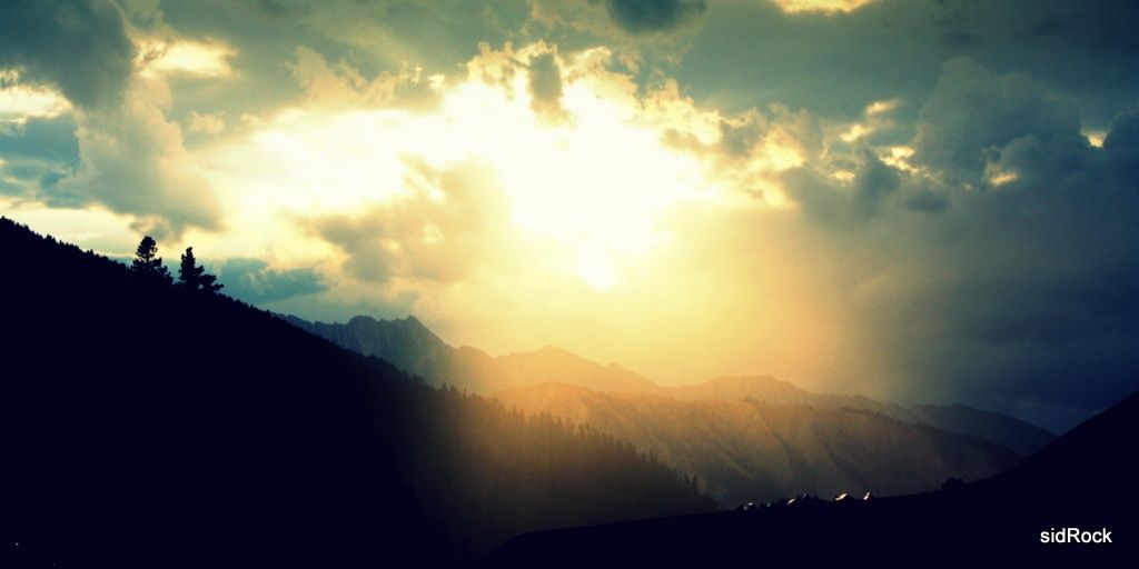 sidcult's profile banner image