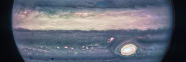 borganism1981's profile banner image