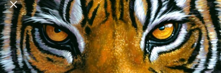Halversontweets's profile banner image