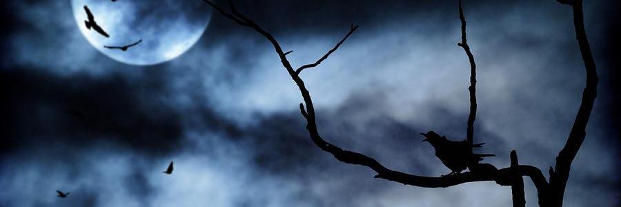 SahabatMDL's profile banner image