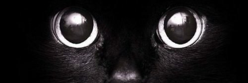 FranCabello_95's profile banner image