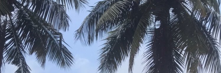 RjDhwani's profile banner image
