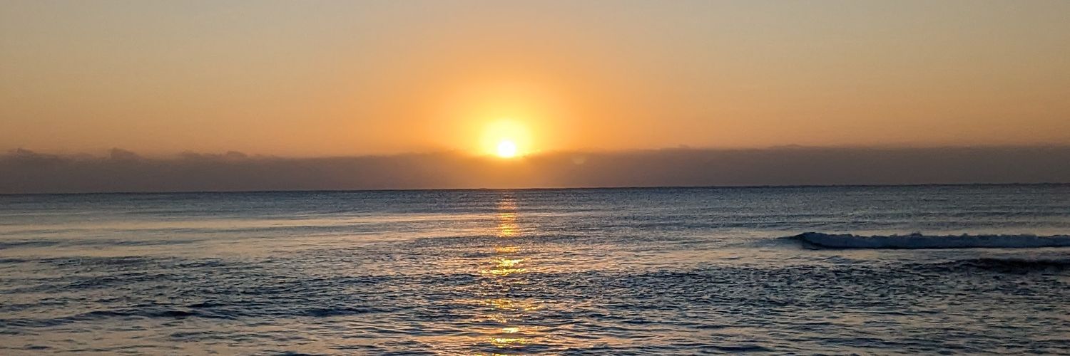 pidrig's profile banner image