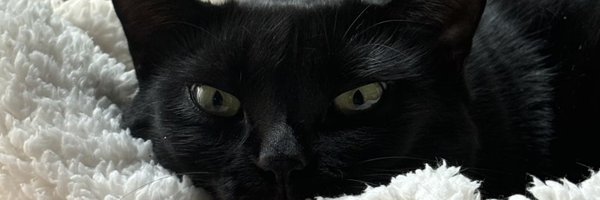 BzOrbea Profile Banner