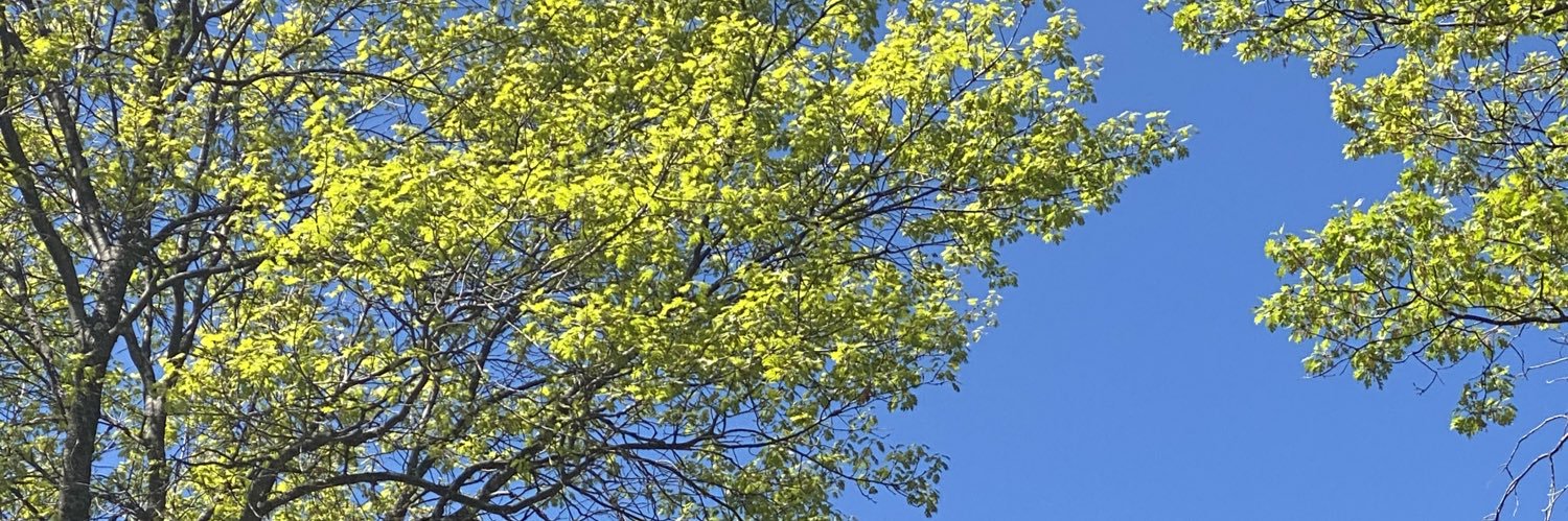 TheChasealope's profile banner image