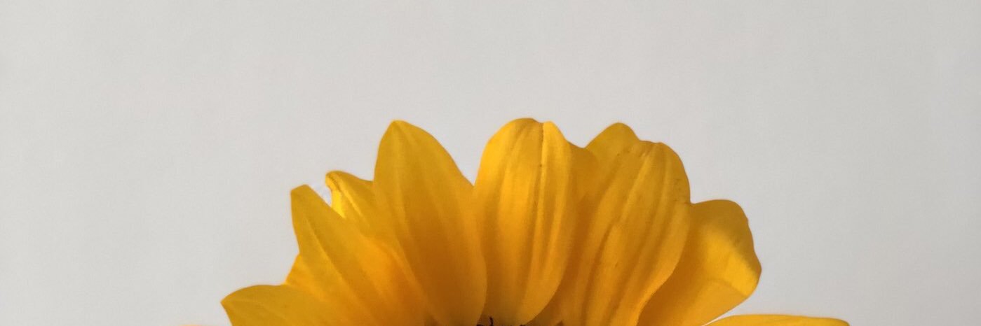 michaelpov_'s profile banner image