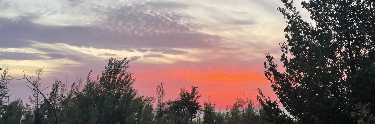 AlexisVanboxtel's profile banner image