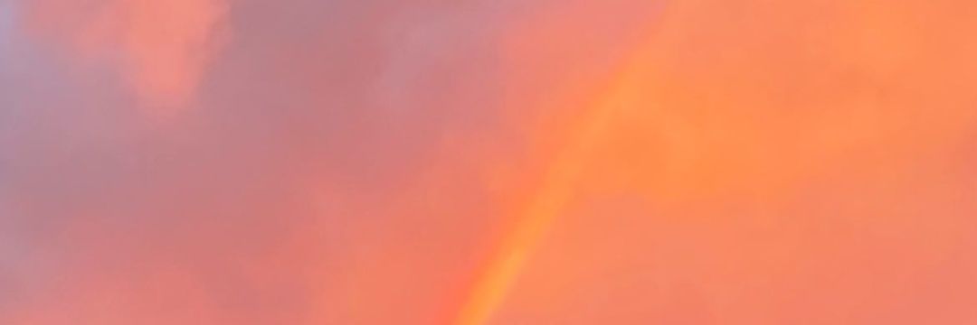 연붕어 banner