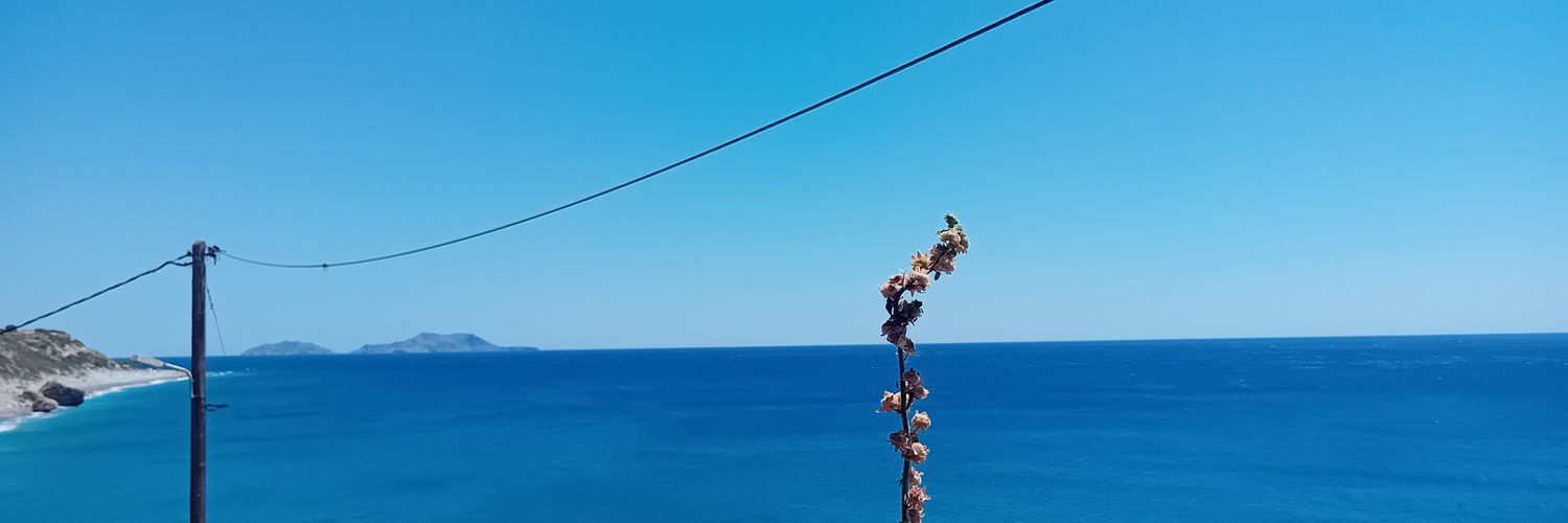 ninavouza's profile banner image