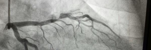 hemodinamiasac Profile Banner