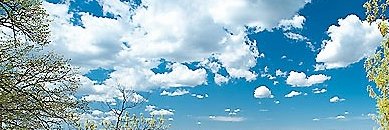 LadrLynne's profile banner image