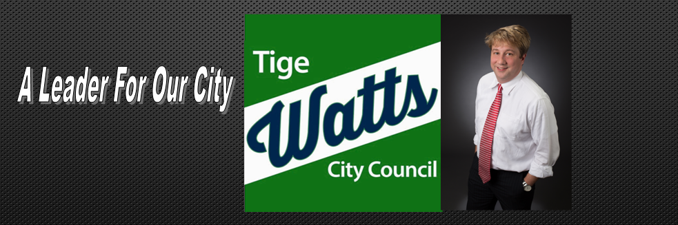 TigeWatts's profile banner image