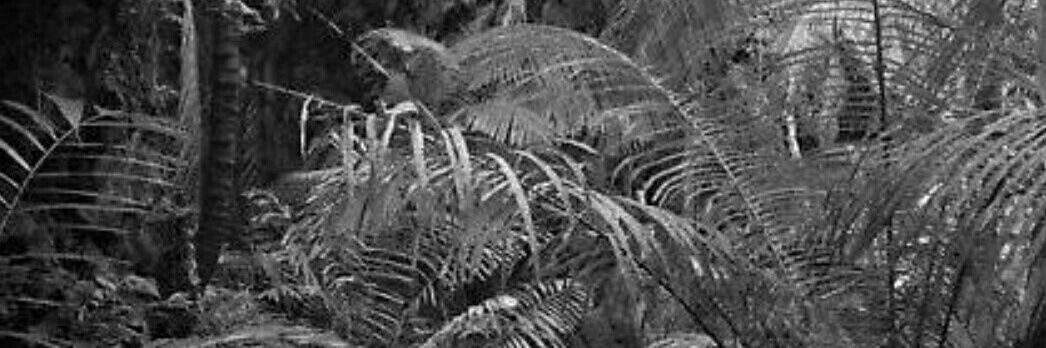 MadhSmit's profile banner image