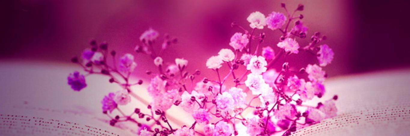 MandiZastron's profile banner image
