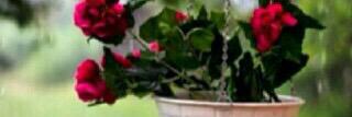 90Mouza's profile banner image