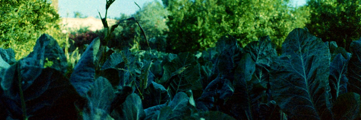 Martin Dumas Primbault banner