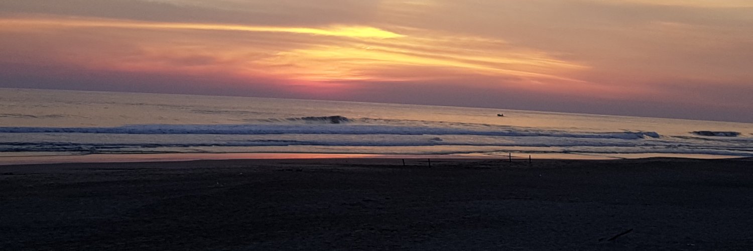 APLarrazabal's profile banner image