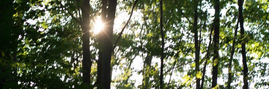MrWolfe_SM's profile banner image