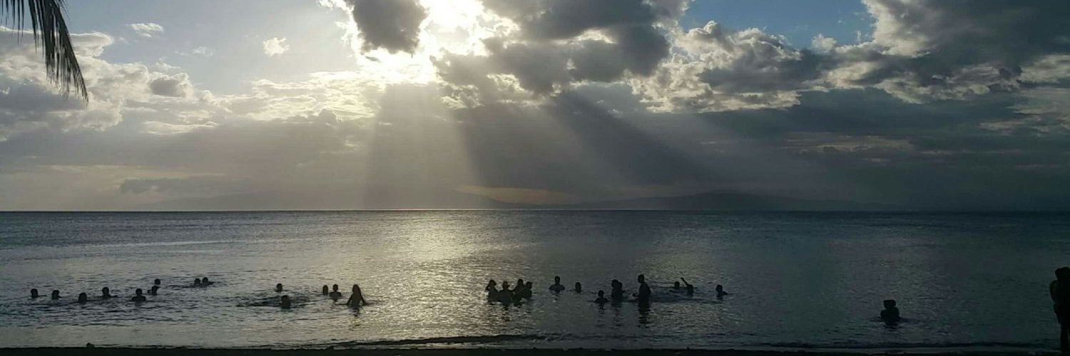 Estefani Ortiz banner