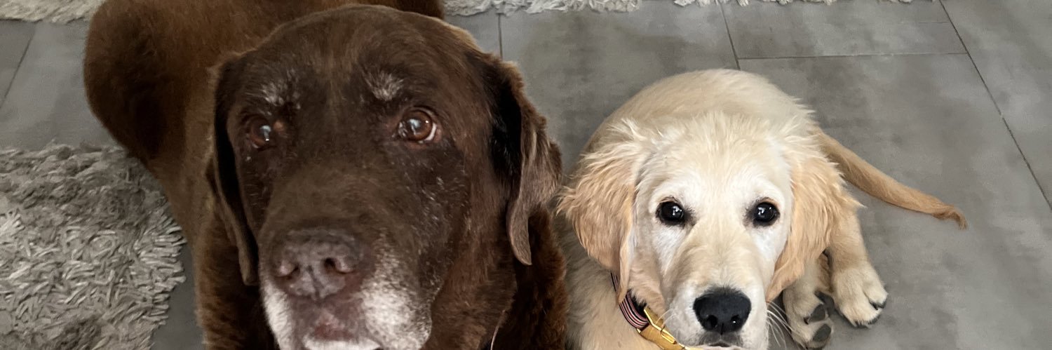 nochaskip's profile banner image