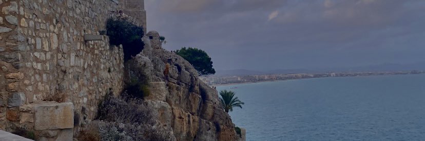 clara 🌺 banner