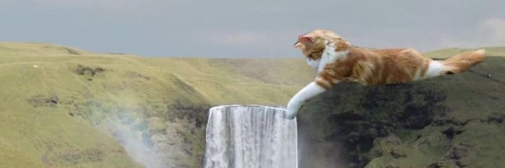 cécé ♐︎ banner