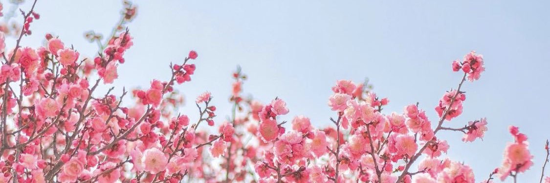 LuliCarossia's profile banner image