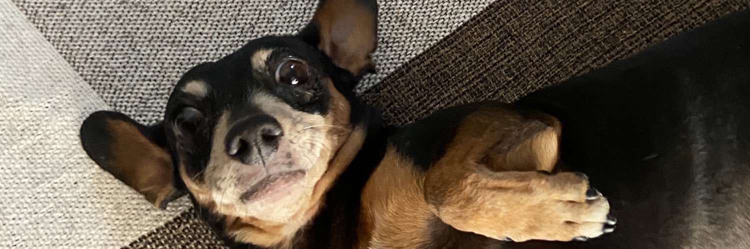 karen banner