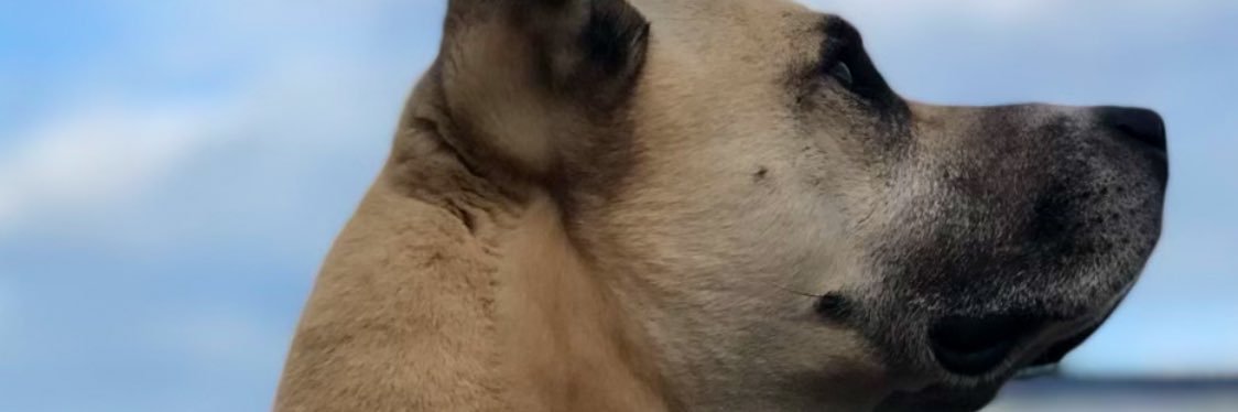 rhb_craven's profile banner image