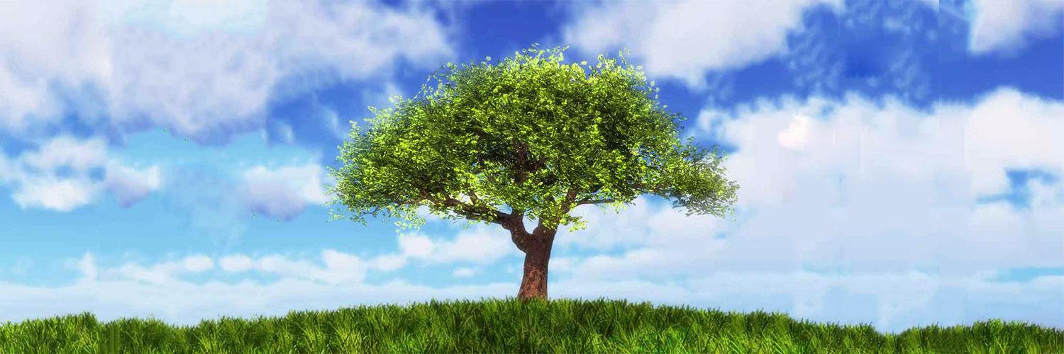 kind_financial's profile banner image