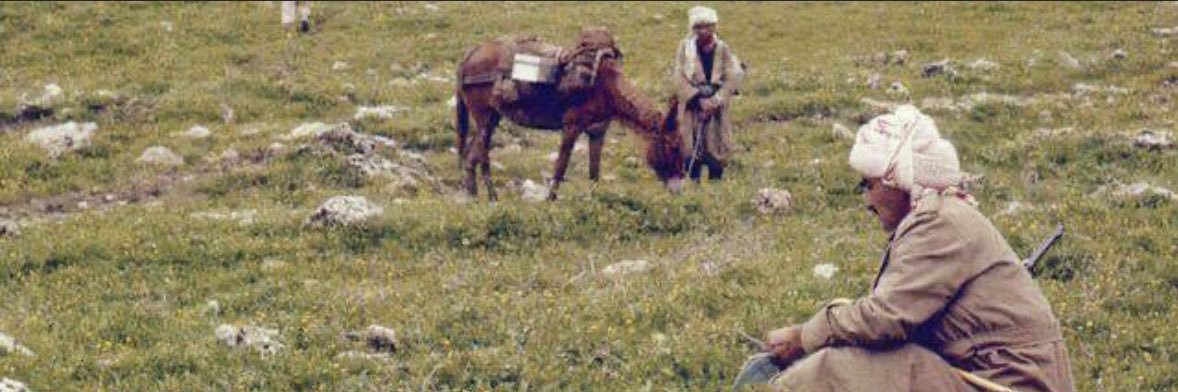 MonirBarzani's profile banner image
