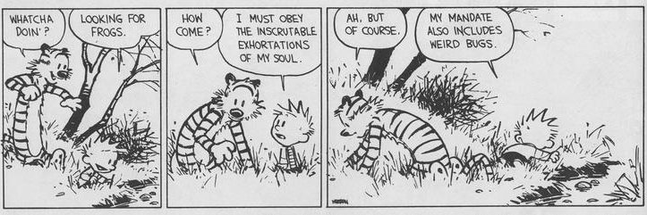 West Coast Bride banner