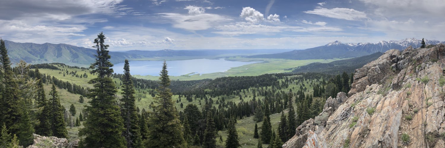 Nick Vipperman banner