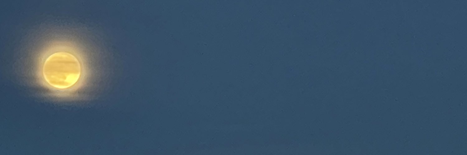 SyedZain171's profile banner image