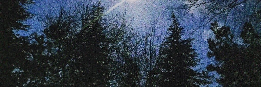 bsnrcr's profile banner image