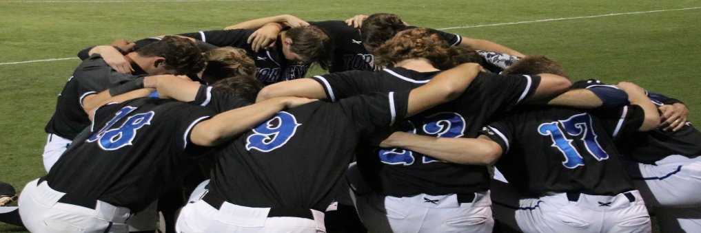 LJCDS Baseball banner