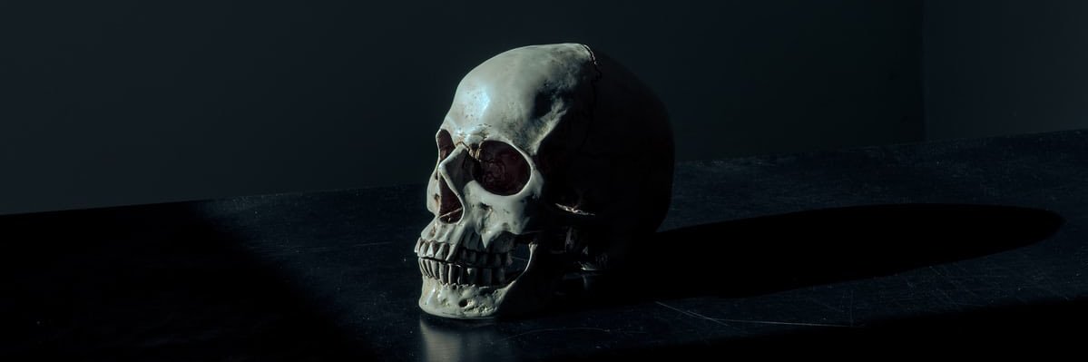 404HoNotFound's profile banner image