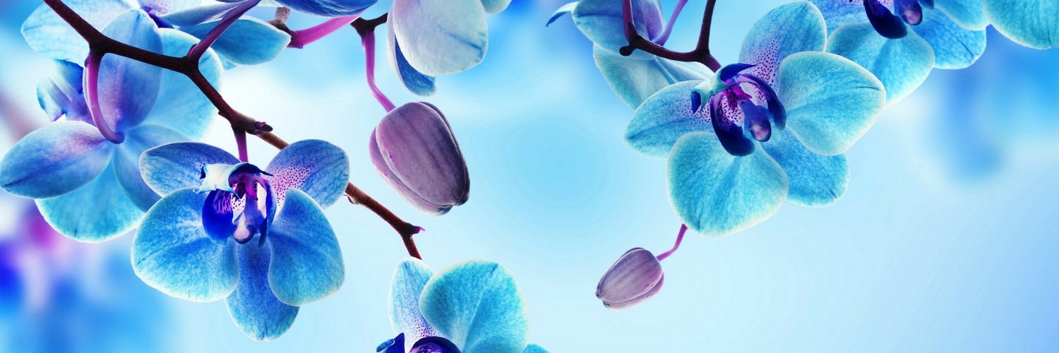 glitz_reviews's profile banner image