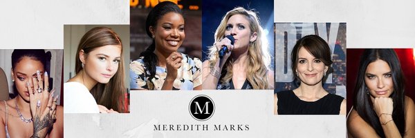 Meredith Marks Profile Banner