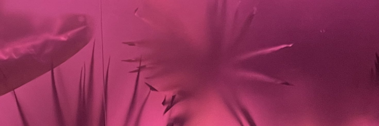 hannah_shewbart's profile banner image
